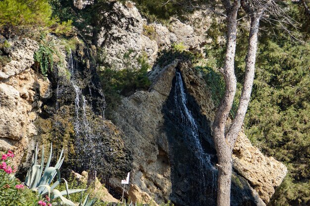 Zdjęcie wysoki kąt widoku skał pośród drzew w formacji skalnej