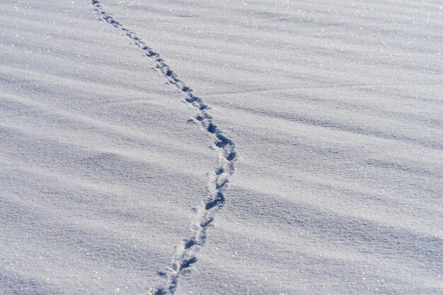 Zdjęcie wysoki kąt widoku śladów stóp na śnieżnym polu