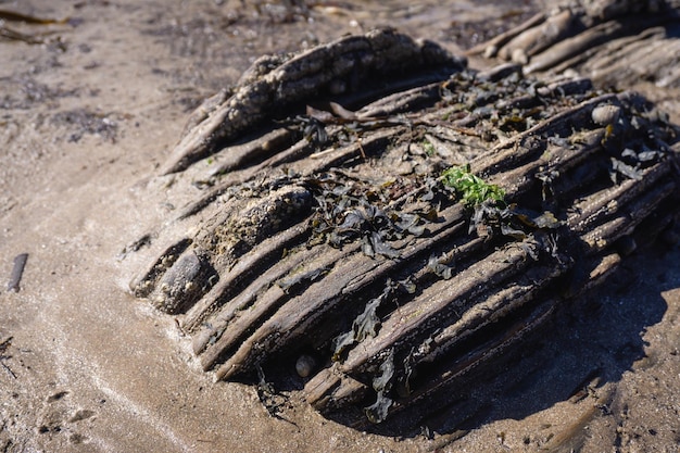 Zdjęcie wysoki kąt widoku tekstury skały na plaży