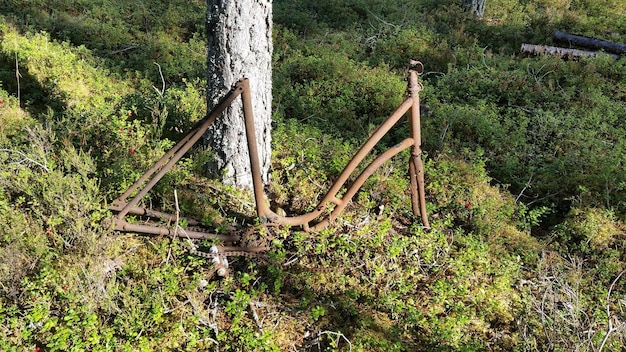 Zdjęcie wysoki kąt widoku zardzewiałego metalu na trawie