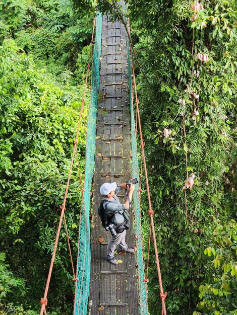 Wysoki kąt widzenia człowieka robiącego zdjęcie na moście wiszącym w chodniku z baldachimem drzewa w dolinie Danum