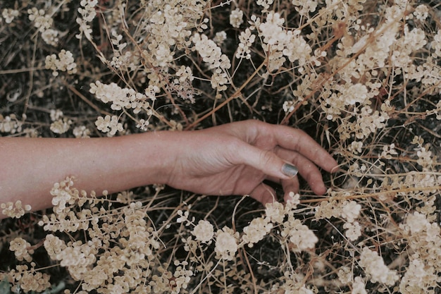 Zdjęcie wysoki kąt widzenia osoby trzymającej roślinę za rękę
