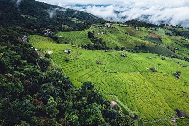 Wysoki kąt widzenia Pole zielonego ryżu na tarasie w Chiangmai