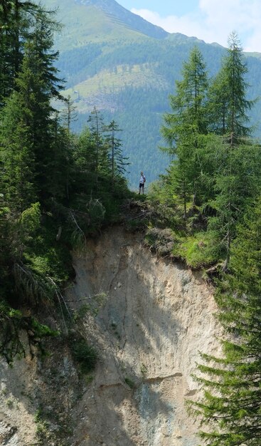 Wysoki widok na Alpy w Austrii latem