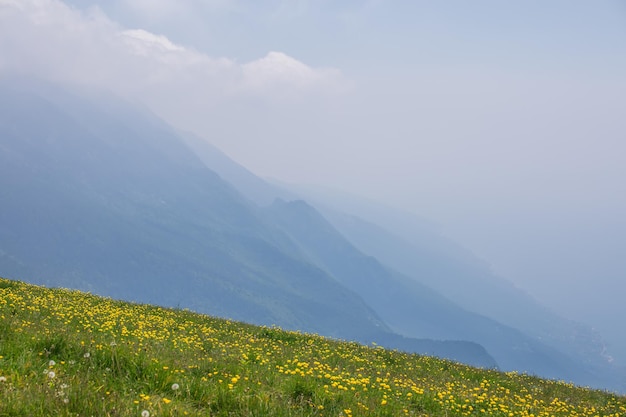 Wysokie alpejskie zbocza wschodniego wybrzeża jeziora Garda w letniej mgle z żółtymi kwiatami, Lombardia, Włochy