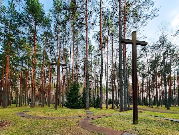 Wysokie krzyże wśród drzew na Polskim Cmentarzu Wojskowym Pomnik II Wojny Światowej
