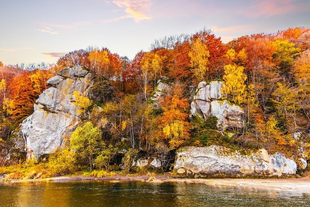 Wysokie skaliste klify wśród bujnych pożółkłych drzew rosnących w pobliżu górskiej rzeki z czystą wodą jesienią pod błękitnym niebem i różowymi chmurami
