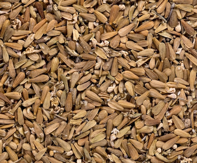 Wysokiej jakości nasiona kozłka lekarskiego w formie tekstury dla Twojego pięknego ogrodu Mogą być stosowane przez producentów nasion