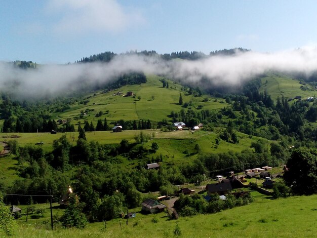 Wysoko w górach