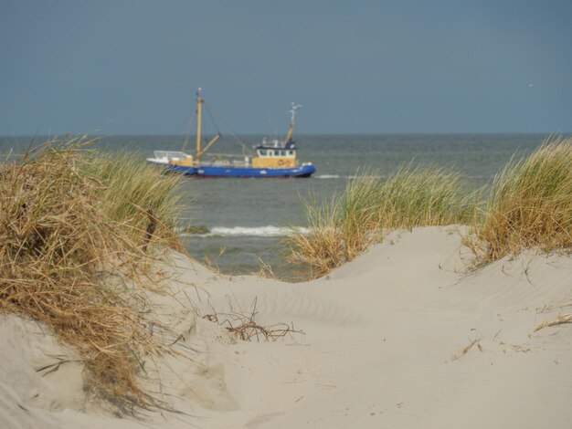 Zdjęcie wyspa ameland w holandii