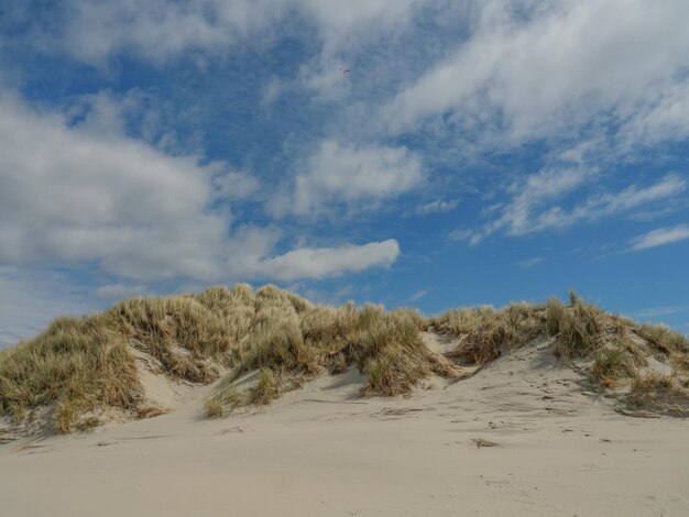 Zdjęcie wyspa ameland w holandii