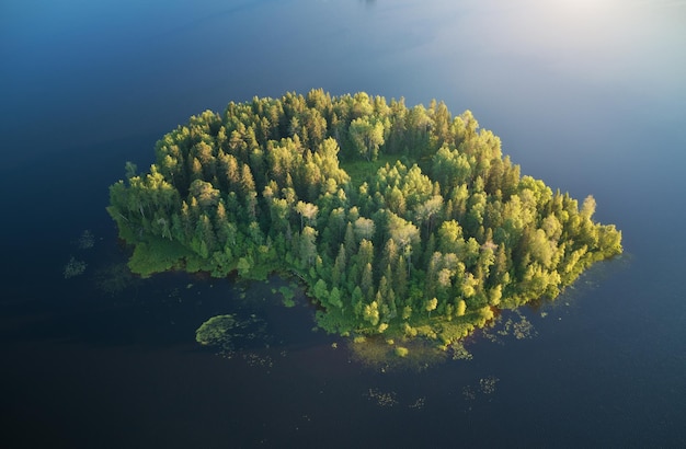 Wyspa na jeziorze widok z lotu ptaka