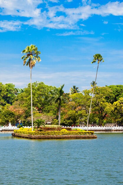 Zdjęcie wyspa z palmami na jeziorze kandy w mieście kandy, sri lanka