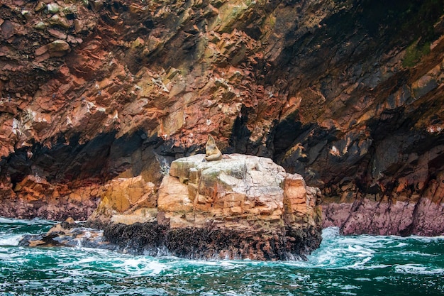 Wyspy Ballestas na Oceanie Spokojnym Paracas w prowincji Pisco - Peru