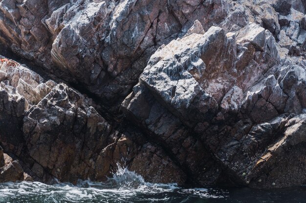 Zdjęcie wyspy ballestas paracas ica peru