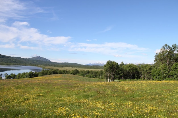 Wyspy Kvaloya i Senja Norwegia