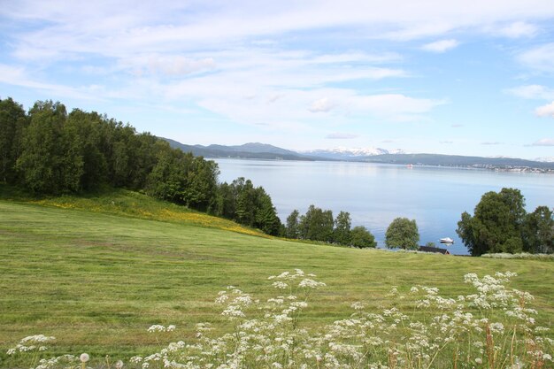 Wyspy Kvaloya i Senja Norwegia