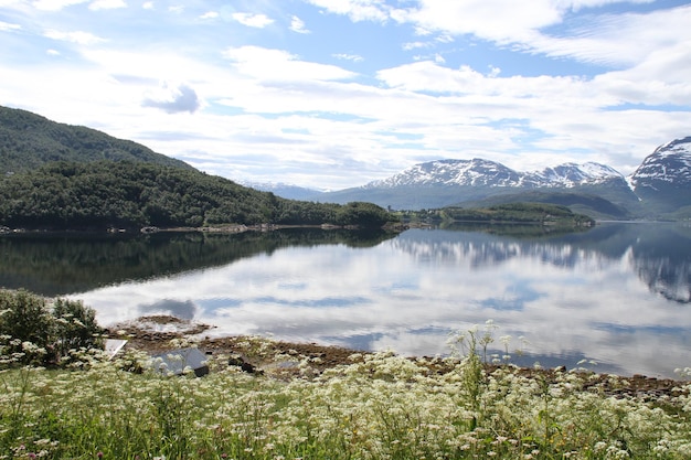 Wyspy Kvaloya I Senja Norwegia