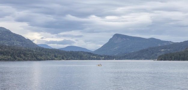 Wyspy otoczone oceanem i górami w sezonie letnim