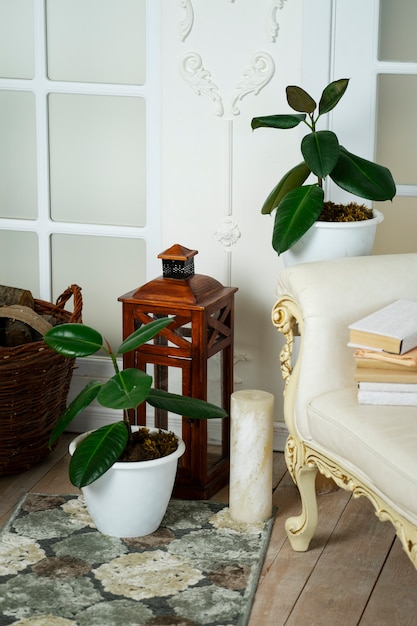 Zdjęcie wystrój pokoju z latarnią, roślinami doniczkowymi i fotelem