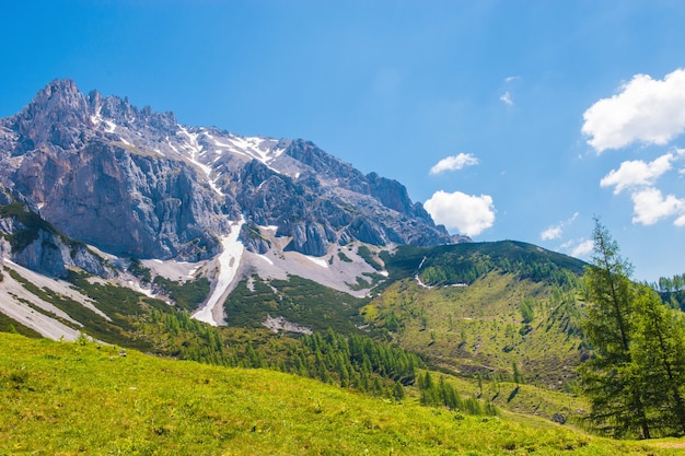 Wyświetl zbliżenie Alpejskie skały w parku narodowym Dachstein, Austria, Europa. Błękitne niebo i zielony las w letni dzień