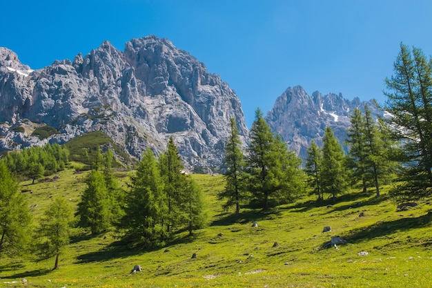 Wyświetl zbliżenie Alpejskie skały w parku narodowym Dachstein, Austria, Europa. Błękitne niebo i zielony las w letni dzień