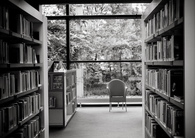 Zdjęcie wyświetlanie książek w bibliotece