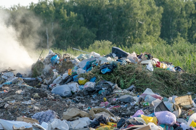 Wysypisko miasta z różnymi oparzeniami śmieci w słoneczny letni dzień