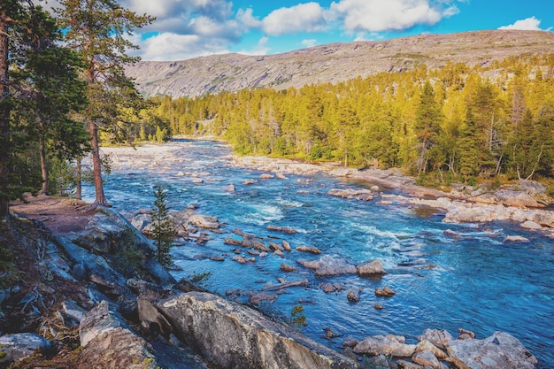 Wzburzona górska rzeka Piękna przyroda Norwegii