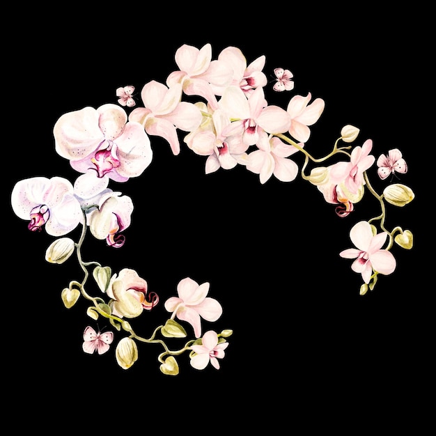 Wzór z kwiatami orchidei i kwiatami irysa