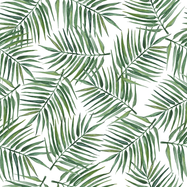 Wzór z liści palmowych akwarela ilustracja