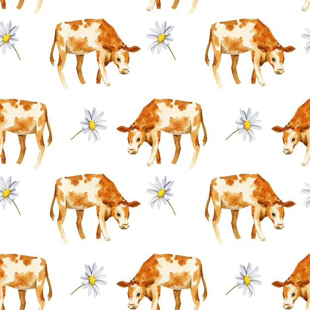 Wzór z stokrotki krowy cielę polne kwiaty akwarela ręcznie rysowane ilustracja