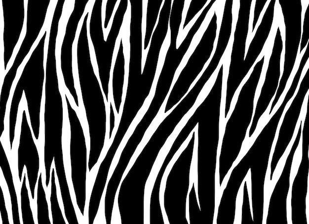 Zdjęcie wzór zebry zwierzęta natura tło