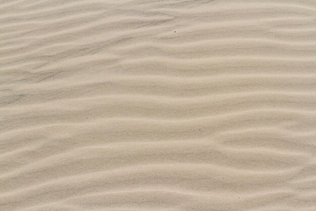 Wzory na piasku na South Padre Island w Teksasie.