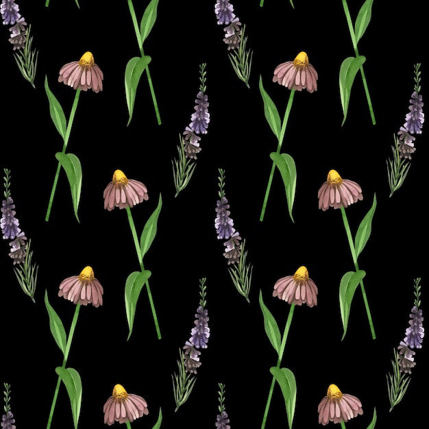 Wzorzec akwarelowy trawy i kwiaty łąki echinacea heather roślina ręcznie narysowana akwarelą na