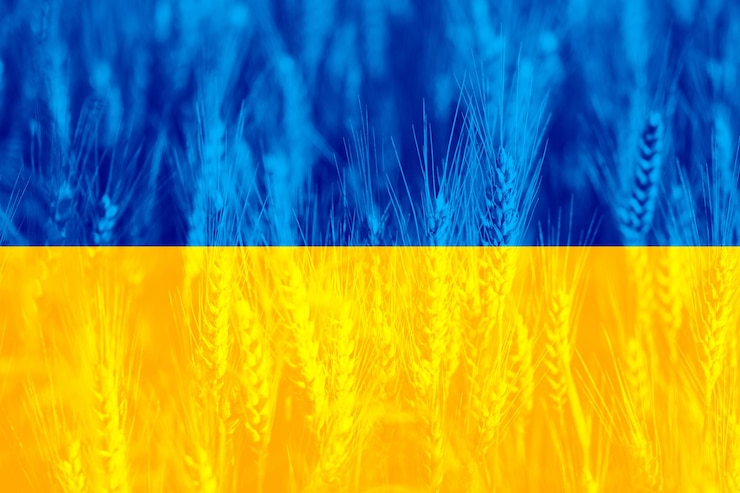 Zdjęcie wzrost cen pszenicy na ukrainie z flagą