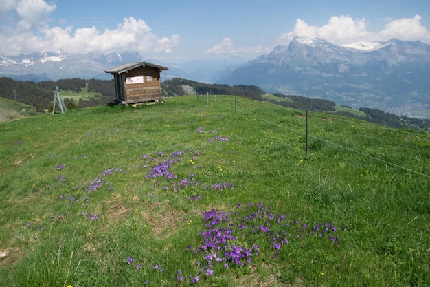 XAKrajobraz francuskich Alp