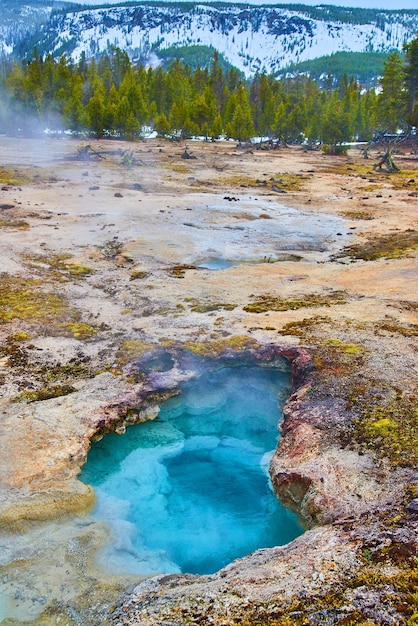 Yellowstone zimą z ciemnoniebieskimi basenami termalnymi