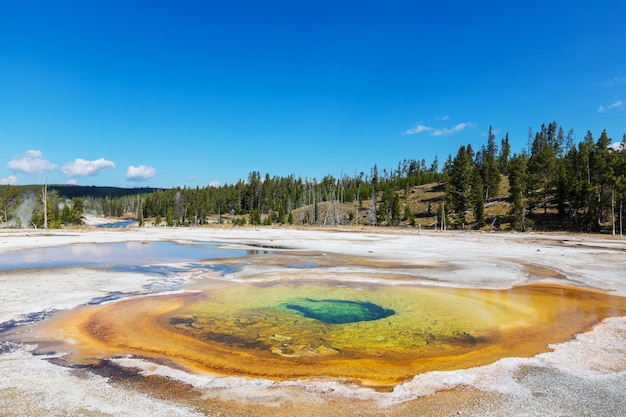 yellowstone