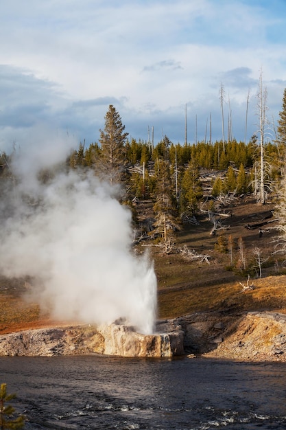 Zdjęcie yellowstone