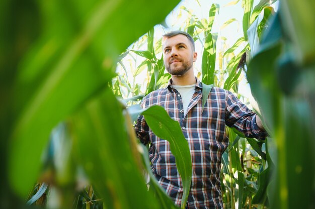 Yong Przystojny Agronom W Polu Kukurydzy I Bada Uprawy Przed Zbiorami. Koncepcja Agrobiznesu. Inżynier Rolnictwa Stojący W Polu Kukurydzy.