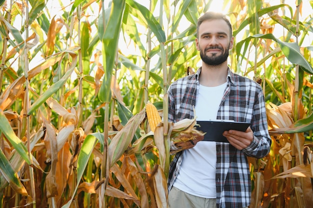 Yong przystojny agronom w polu kukurydzy i bada uprawy przed zbiorem Koncepcja agrobiznesu inżynier rolnictwa stojący na polu kukurydzy