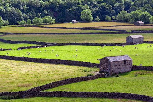 Yorkshire Dales Anglia