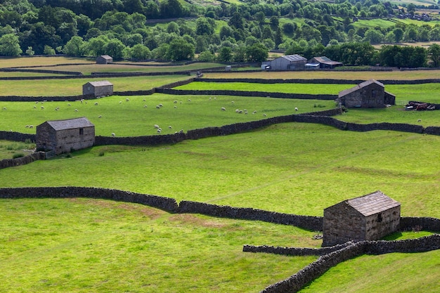 Yorkshire Dales Anglia