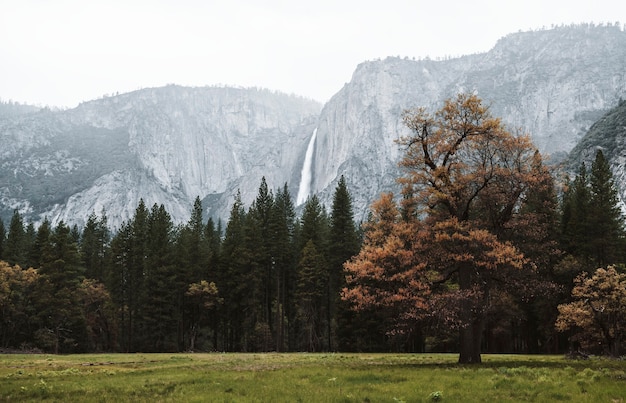 Yosemite mieści się w Parku Narodowym Yosemite