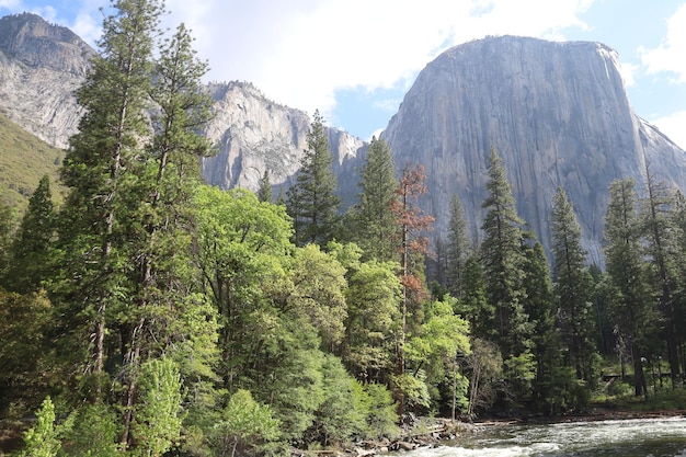 Yosemite na wiosnę