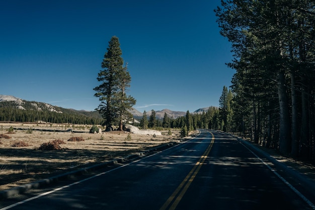 Yosemite Valley Road w słoneczny dzień Yosemite National Park Kalifornia