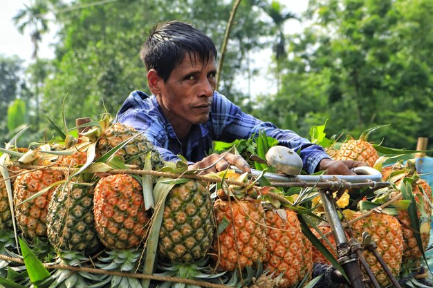 Zdjęcie z bliska rolnik przewożący ananas na rowerze