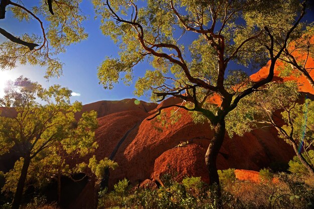 Zdjęcie z bliska widok z boku ayers rock w terytorium północnym australii