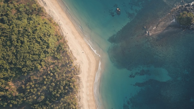 Z góry na dół rajskiego ośrodka w Ocean Bay Aerial. Na piaszczystej plaży nikt tropikalnej przyrody. Zielony